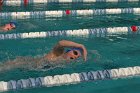 Swimming vs Babson  Wheaton College Swimming vs Babson College. - Photo By: KEITH NORDSTROM : Wheaton, Swimming, Babson